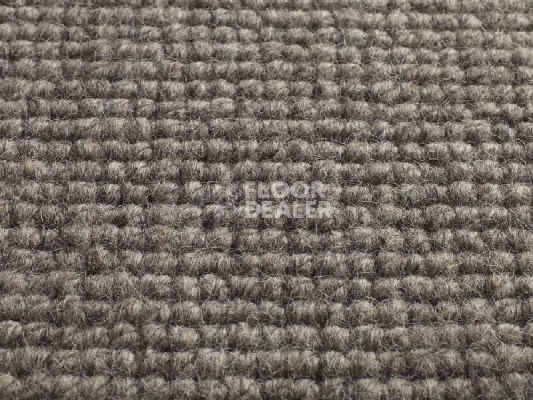 Ковролин Jacaranda Carpets Chandigarh Steel Grey фото 1 | FLOORDEALER